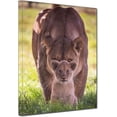 thumbnail image 1 of ADALE Master Bedroom Lioness Protect Cub Animal Mother Love Child Gift Picture Living Room Wall Art Lion Parents Love Artwork Framed Poster Print for Office Framed 11x14 Inch, 1 of 6