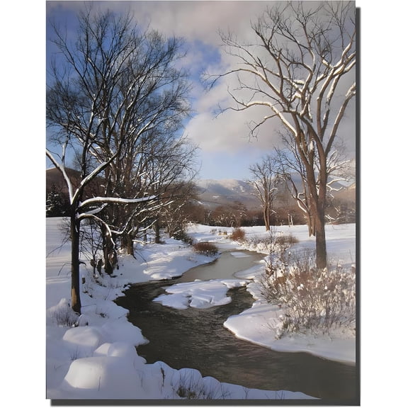 ADALE Scenery Winter Stream with Snow Landscape Wall Decor Art Print Poster Unframed 10x8 Inch