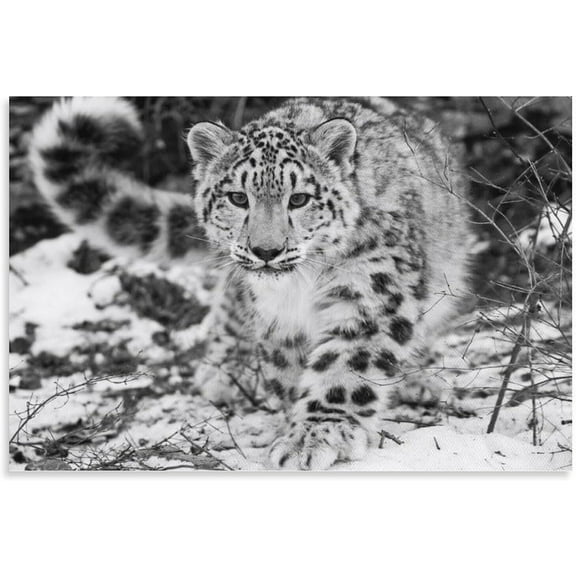 ADALE Snow Leopard Animal Poster Canvas Poster Bedroom Decor Sports Landscape Office Room Decor Poster Gift Unframed 8x10 Inch