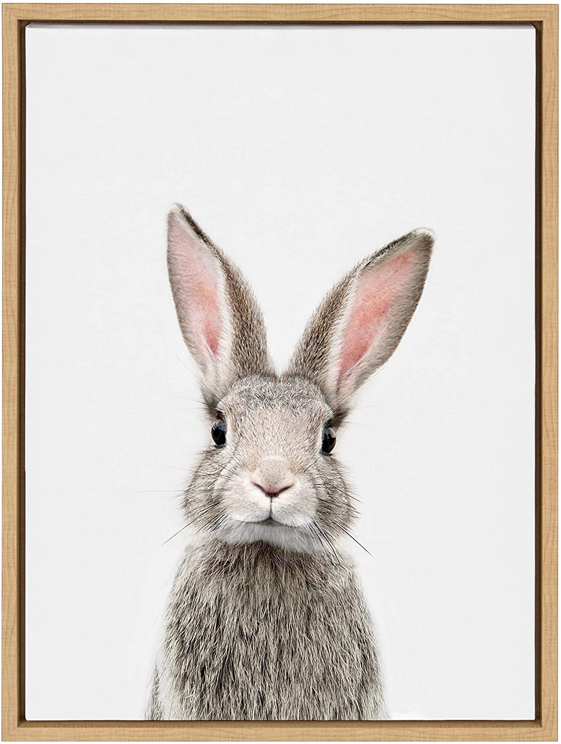 ADALE Sylvie Female Baby Bunny Rabbit Animal Print Portrait Framed ...