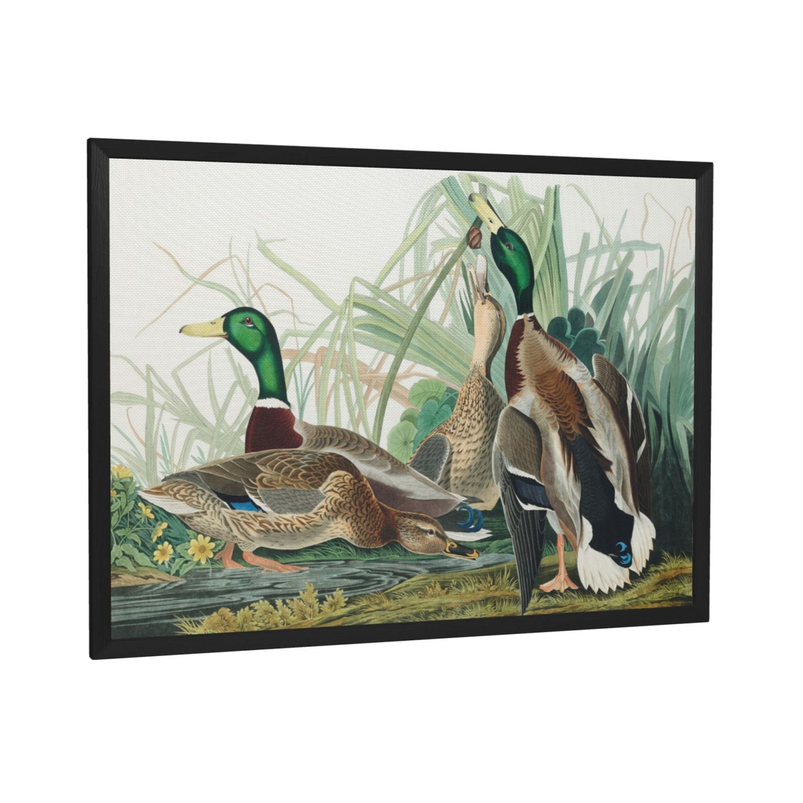 ADALE Vintage Duck Wall Art Black Framed Prints Mallard Duck Famous adale-vintage-duck-wall-art-black-framed-prints-mallard-duck-famous
