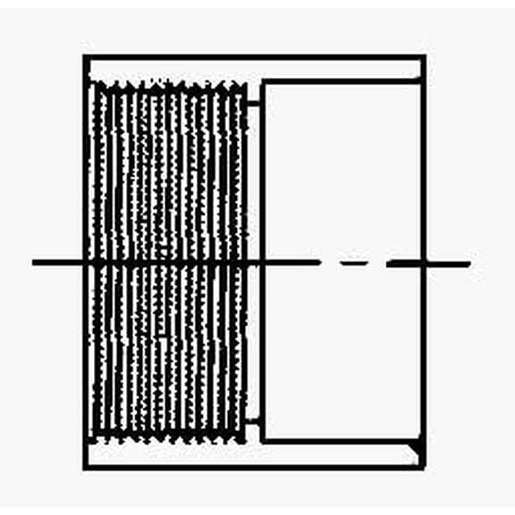 Charlotte Pipe PVC DWV Adapter Coupling - 2 In. HXFPT