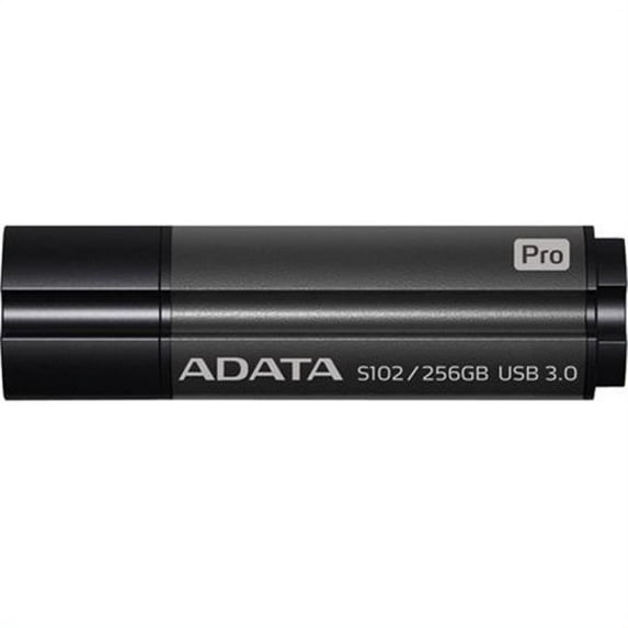 ADATA Technology AS102P-256G-RGY Pro Advanced USB 3.1, Gray