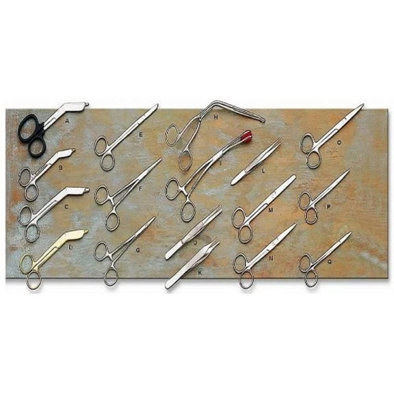 ADC Lister Bandage Scissors, Gold, 4 " 3000G