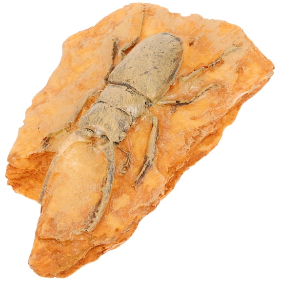 ADDHAT 1Pcs Resin Insect Specimens for Teaching and Collecting 9.8x6.5x2.5in