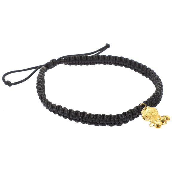 ADDHAT Pet Collar Black Brass for Cats and Dogs with Lock