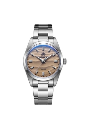 Men's 36mm Diver's 316L Stainless Steel Wristwatch, Japanese VH31 Quartz Movement, 100m Waterproof, Brown, AD2030