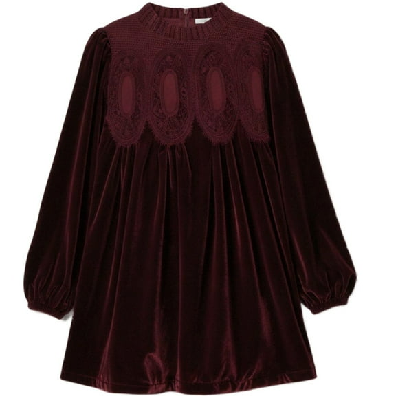 ADEYPCGD Women's Velvet Lace Flared Dress with Pleated Hem and High Scallop Collar for Everyday Casual Wear S