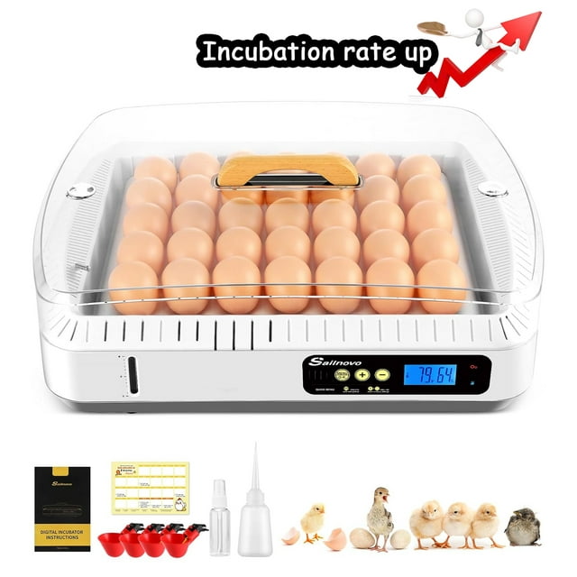 ADNOOM 35 Egg Incubator with Auto Turner, Temp & Humidity Control, LED