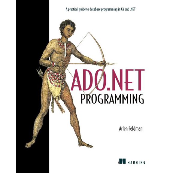 ADO.NET Programming (Paperback)