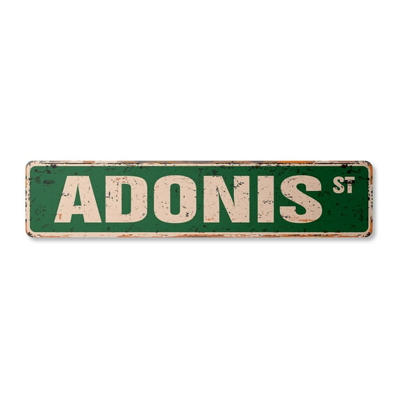ADONIS Vintage Plastic Street Sign Childrens Name Room Sign | Indoor/Outdoor | 18" Wide