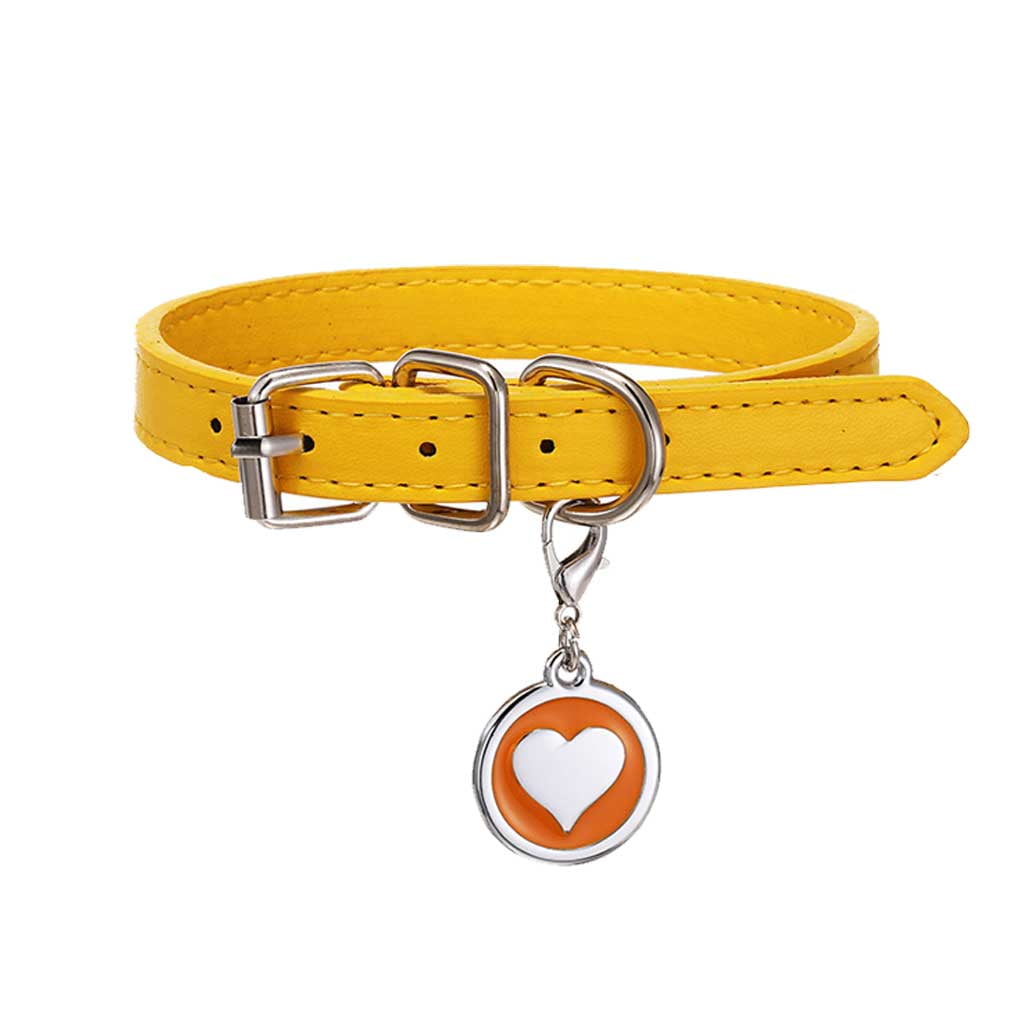 Cat collar deals with nameplate