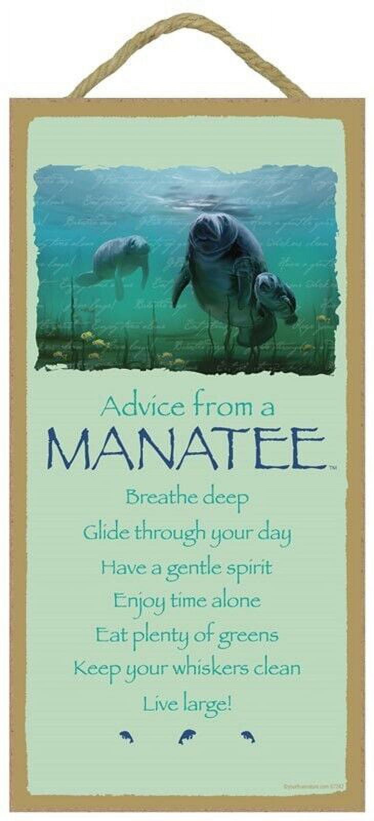 Advice from a manatee primitive wood hanging sign 5 x 10 walmart