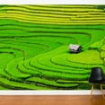 thumbnail image 1 of ADZif Fresk Rice Field Wall Mural, 1 of 5