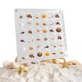 thumbnail image 1 of ADruer Acrylic Magnetic Seashell Display Box, Clear Acrylic Shadow Storage Box Display Case Decorative, 36/64/100 Grids Acrylic Magnetic Organizer Box for Bead, Nail, Jewelry (64 Grids, Round), 1 of 7