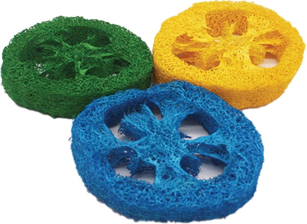 AE Cage Company Nibbles Loofah Slice Chew [Small Pet Chew Toys, Small Pet Supplies] 36 count (12 x 3 ct)