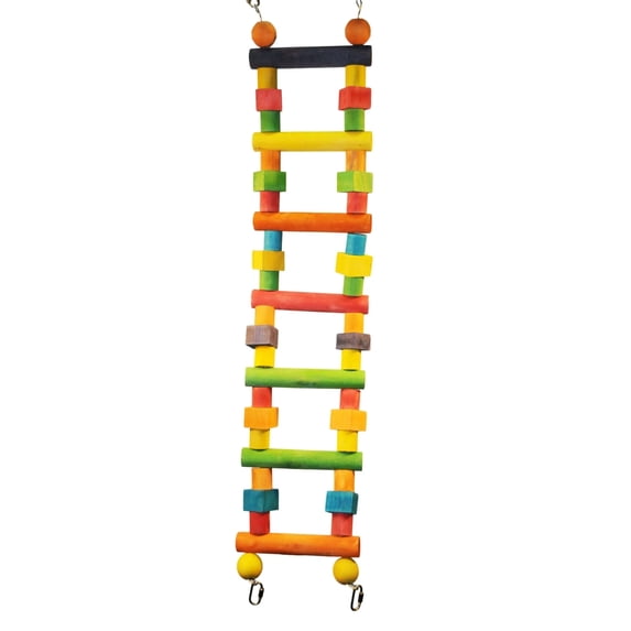 AE Cage Company Wood Ladder