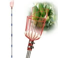 thumbnail image 1 of AEASKIEY Fruit Picker Pole with Basket Telescoping, Adjustable Citrus Orange Picker Pole with Basket 35-68'' Long Handle, Mango Avocado Fig Acorn Pear Pomelo Chery Lemon Picker for Tree, 1 of 7