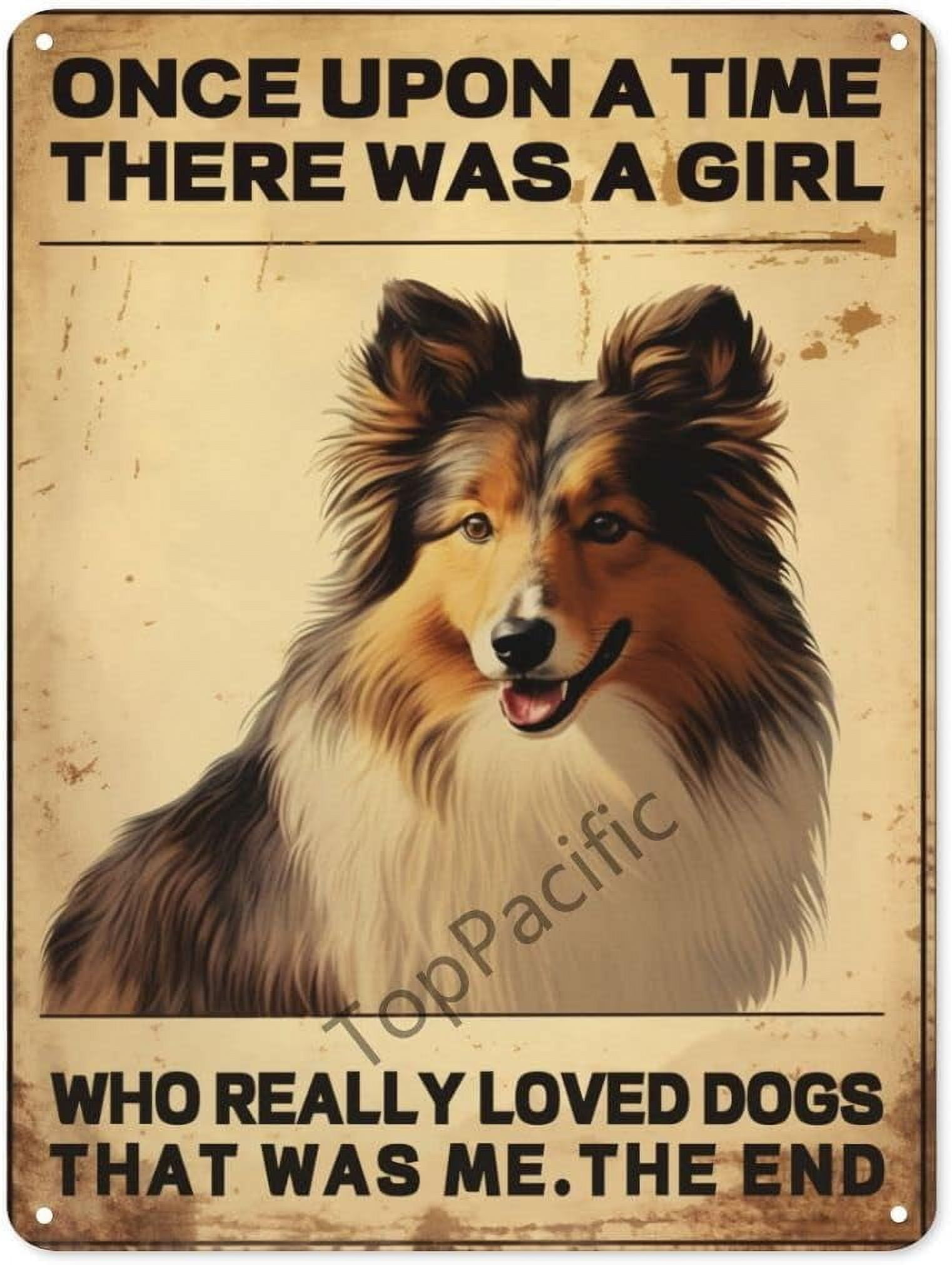 Once Upon A Time Softball Tin Sign - 6x8 Inch Metal Wall Decor For Girls Room & Sports Decor