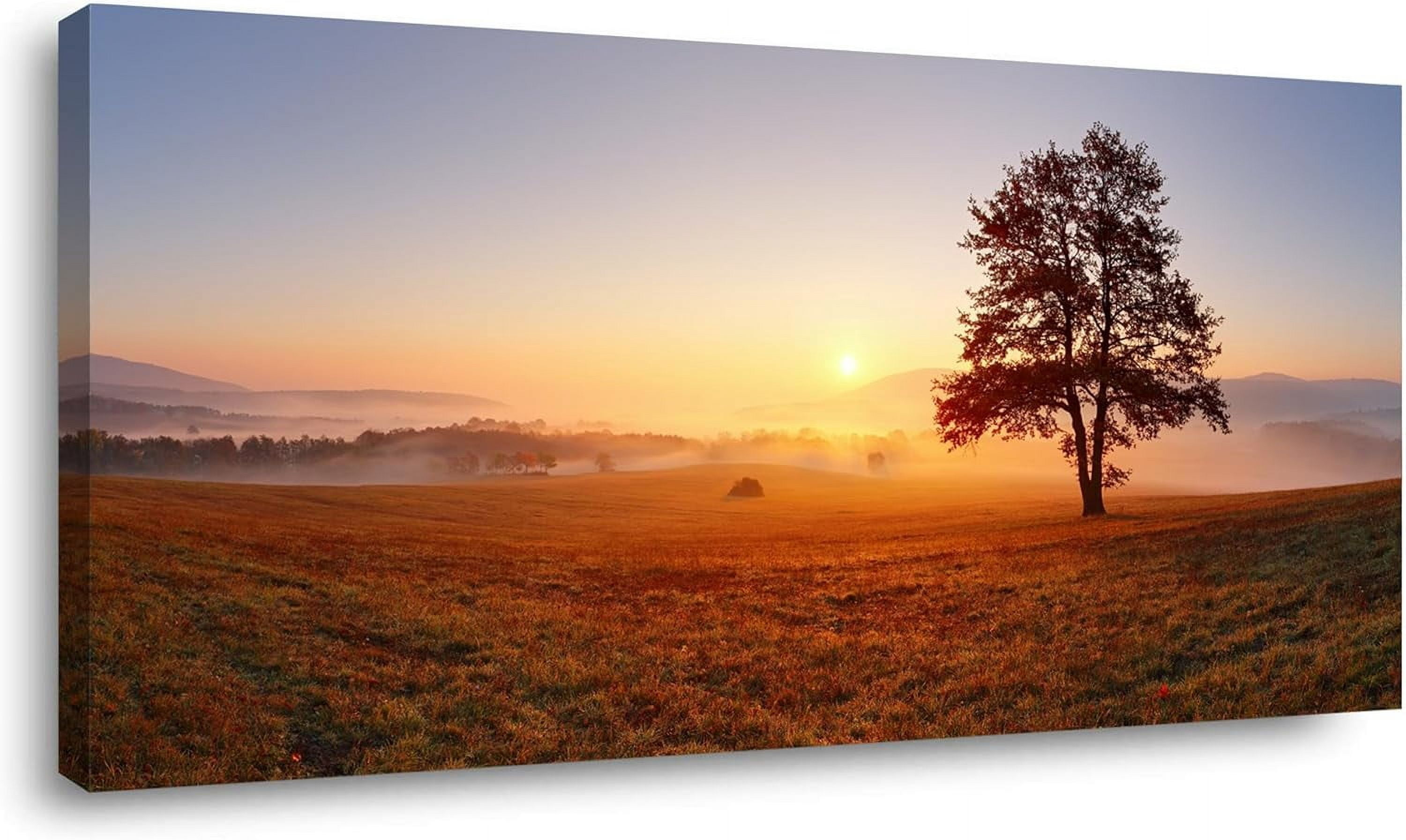 AEFER Alone Tree on Meadow at Sunset with Mist Landscape Canvas Wall ...