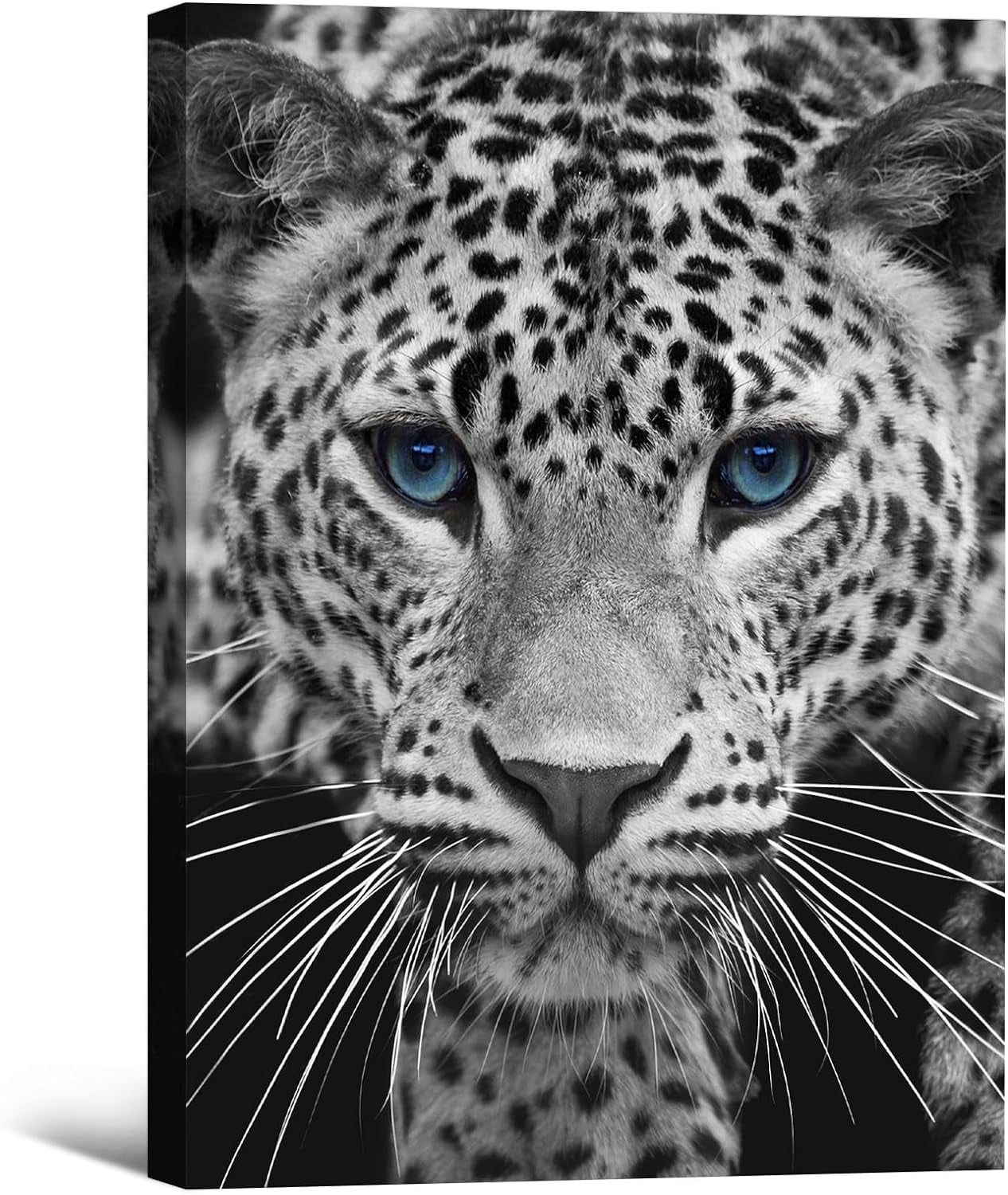 AEFER Black and White Leopard Canvas Wall Art Blue Eyes Animal Pictures