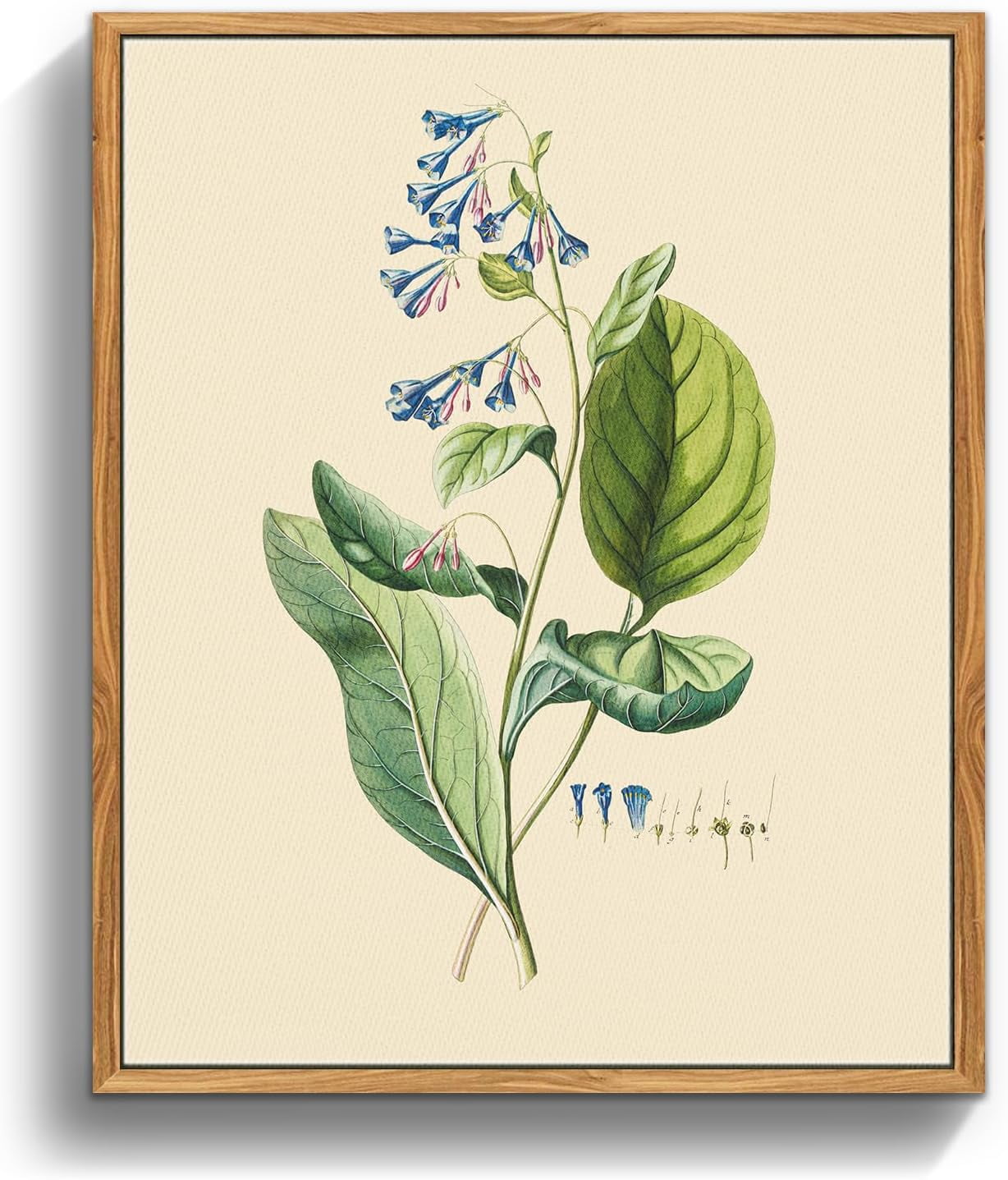 AEFER Botanical Framed Wall Art, Vintage Floral Canvas Art Prints ...