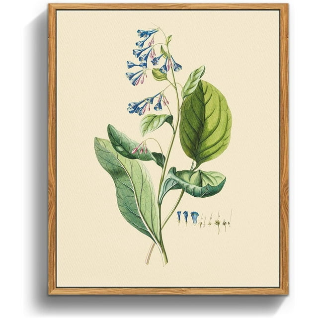 AEFER Botanical Framed Wall Art, Vintage Floral Canvas Art Prints