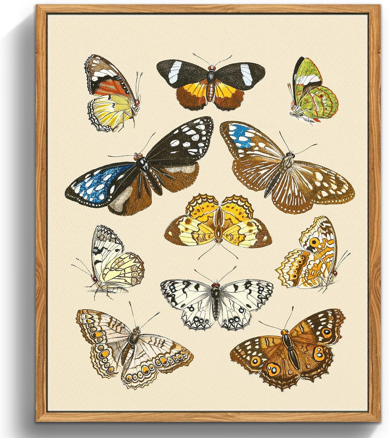 AEFER Butterfly Framed Wall Art, Nature Insect Vintage Canvas Prints ...