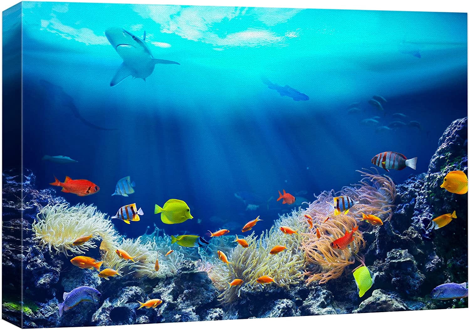 AEFER Canvas Print Wall Art Shining Sunlight Coral Reef Shark & Fish ...