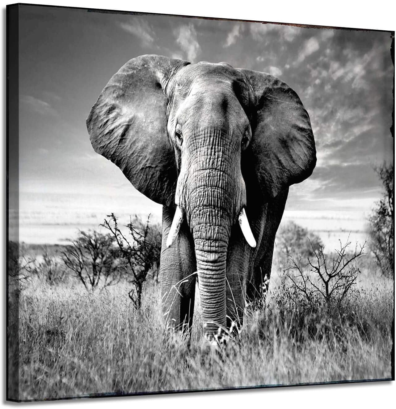 AEFER Canvas Wall Art Elephant Picture: African Animals Graphic Artwork ...