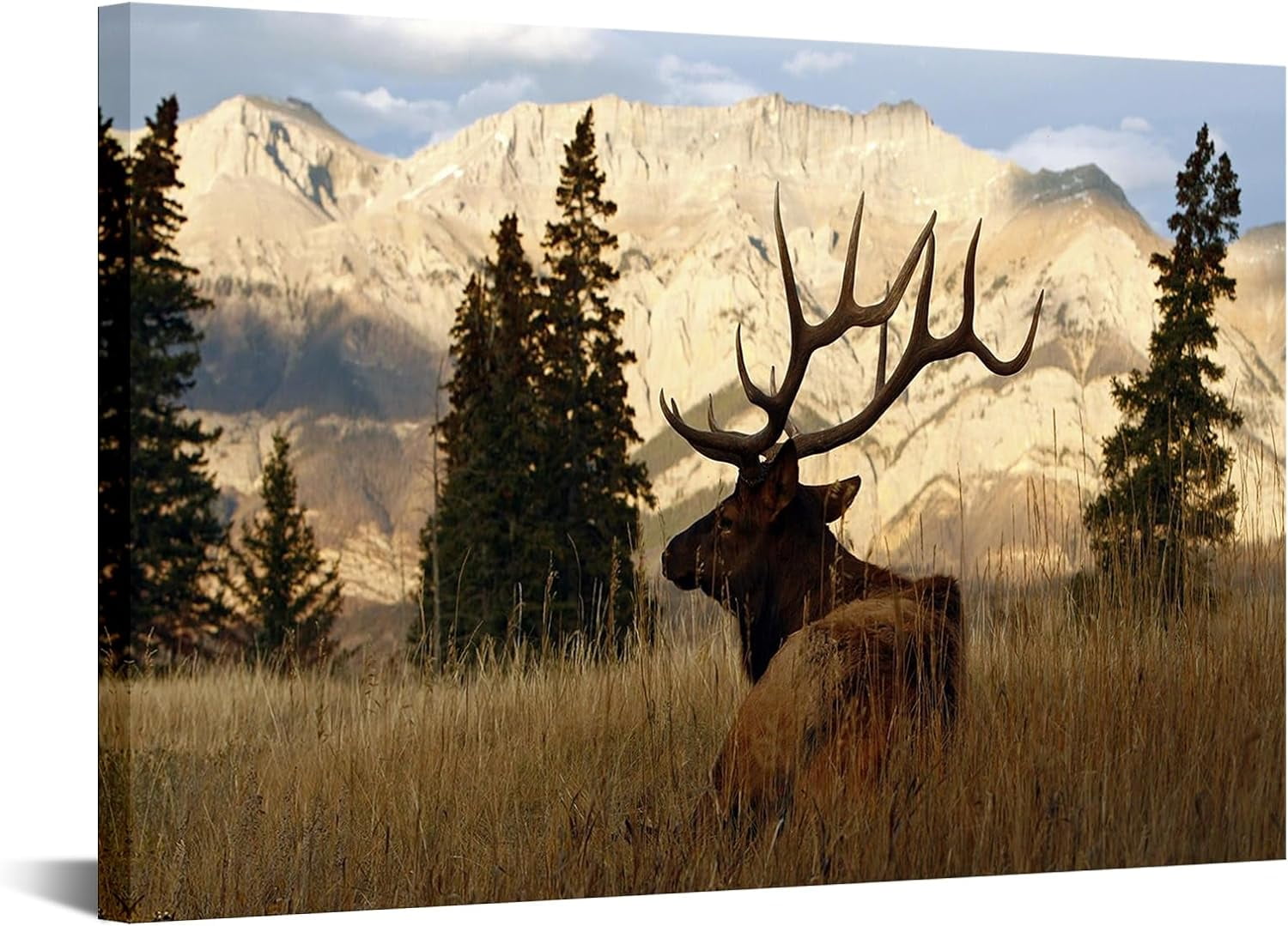 AEFER Deer Pictures Elk Wall Art Wildlife Animal Painting Art Print on ...
