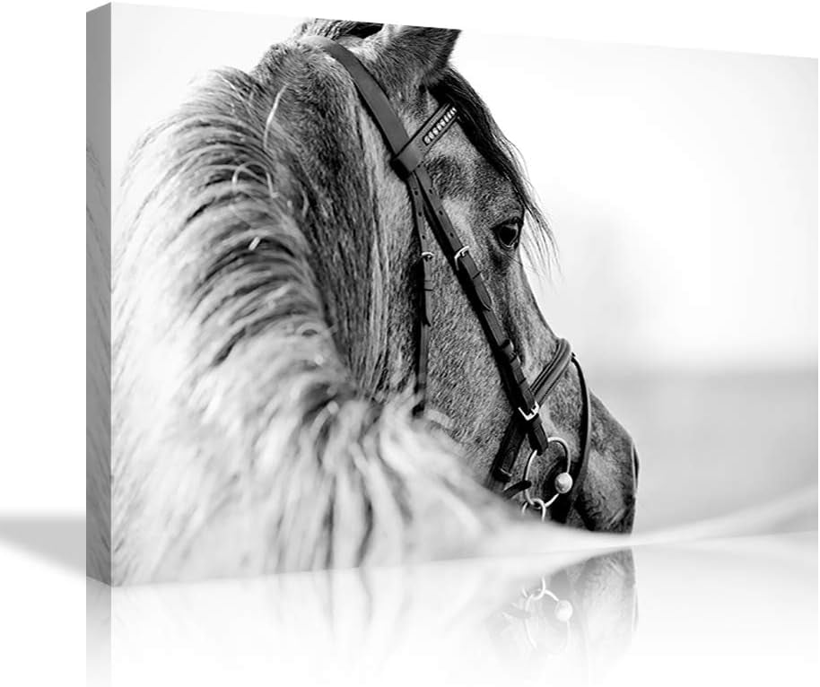 AEFER Giclee Canvas Paintings Prints Unframed Canvas Artwork White