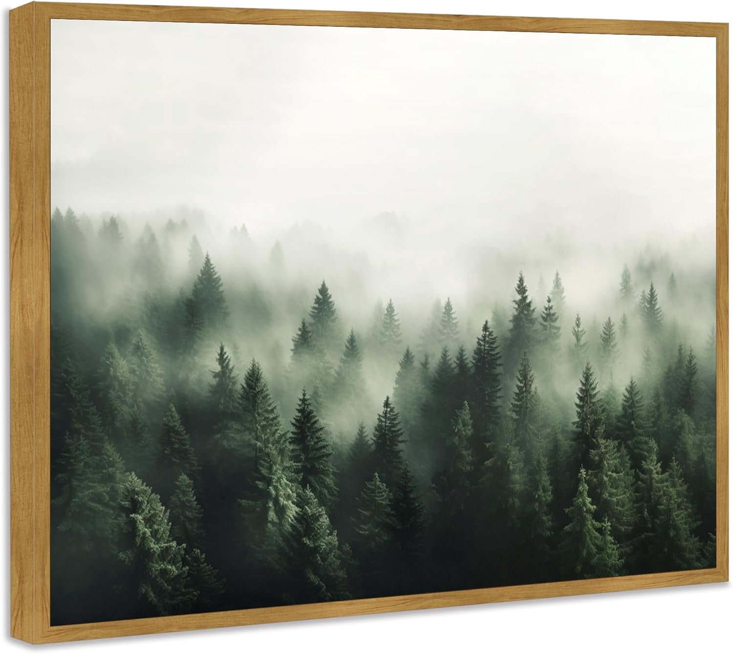 "River Birch I" Framed Canvas Wall Art By Carol Robinson - Tree Painting For Home Decor 1 thumbnail image
