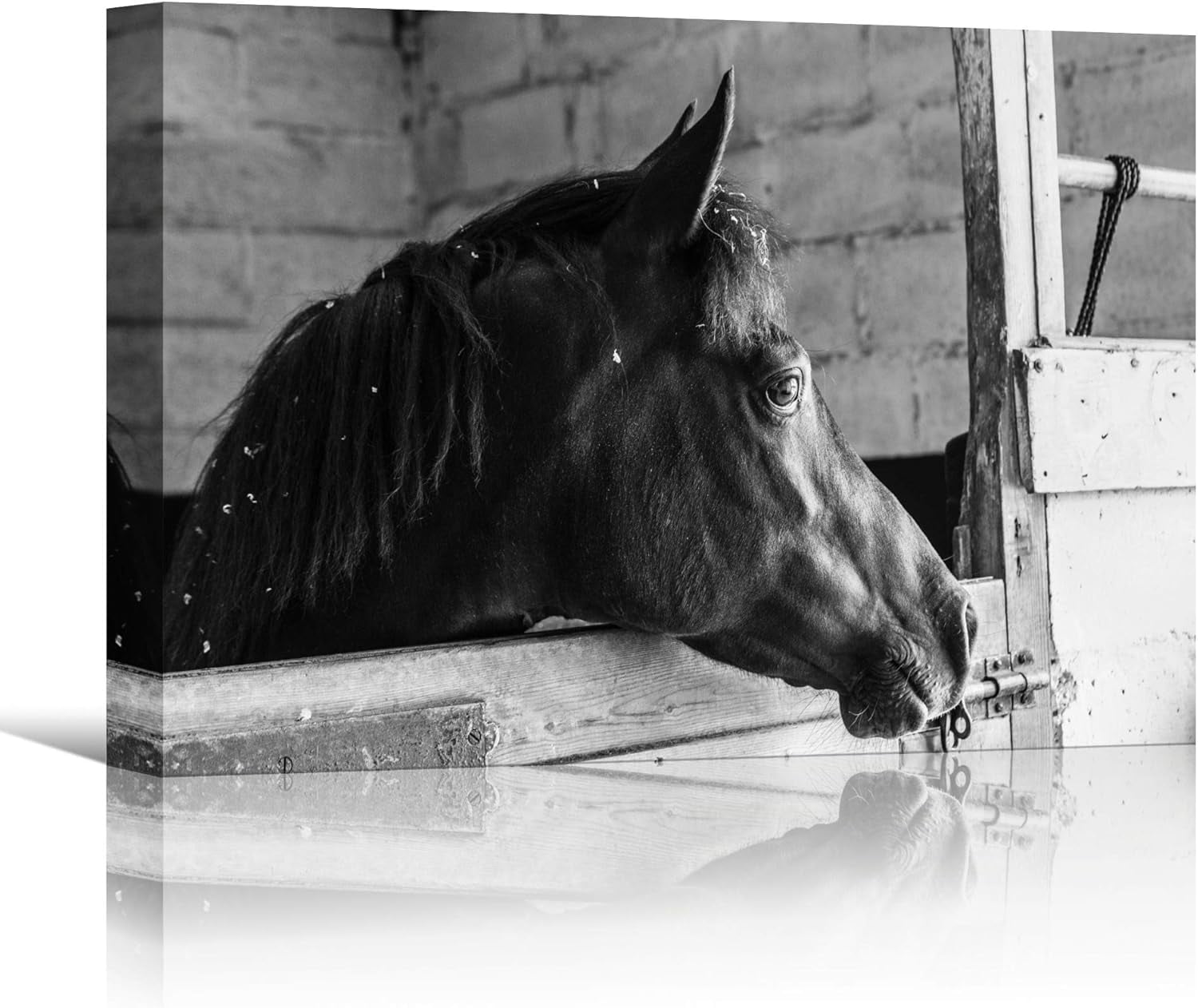 AEFER Horse Wall Art for Home Office Black and White Horse Canvas Wall