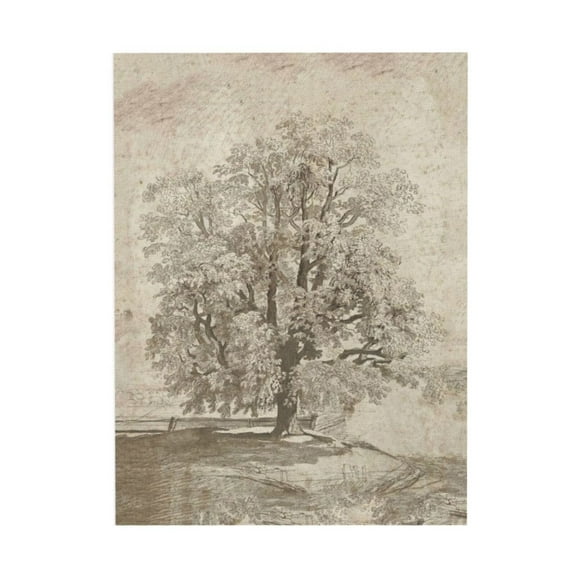 AEFER Neutral Etching Vintage Tree Sketch Print, Tree Canvas Wall Art, Antique Rustic Home Decor, Landscape Wilderness Fine Drawing Painting Art Decorative Country/Farmhouse ( 8"x10"-Unframed)