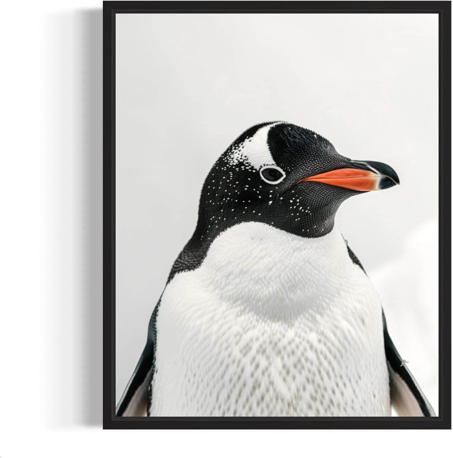 AEFER Penguin Poster Art Print, Animal Portrait Wall Art Nature Decor