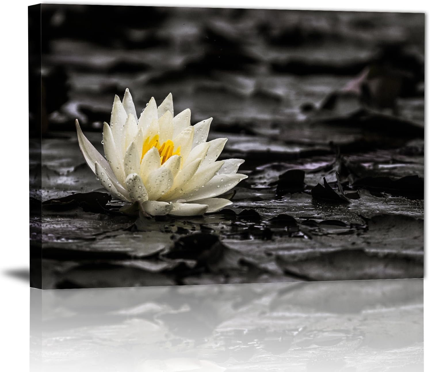 AEFER Spa Zen Wall Art White Lotus Flower in the Storm Canvas Picture ...