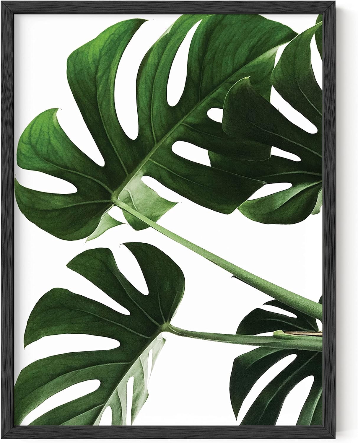 AEFER Tropical Leaf Painting and Botanical Wall Art - Green Leaf ...