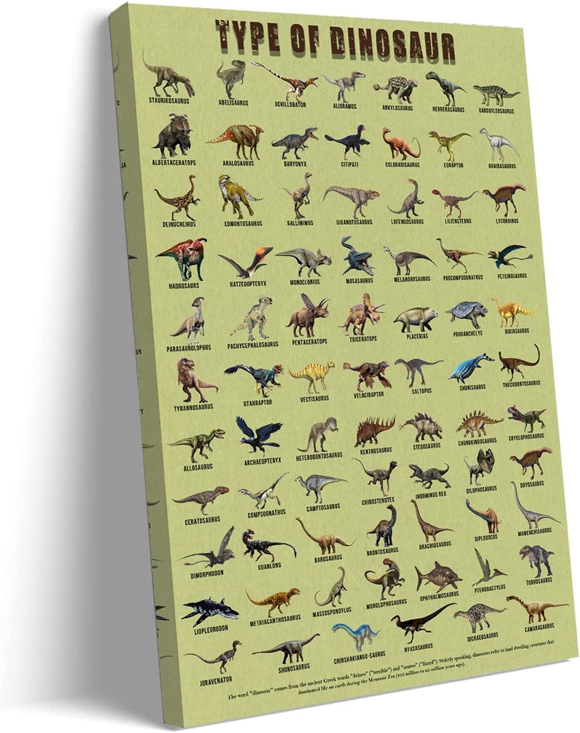 AEFER Types of Dinosaur Wall Art Dino Knowledge Poster Jurassic Prints ...