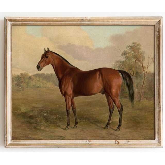 AEFER Vintage Horse Wall Art Prints, Farmhouse Farmhouse Wall Decor