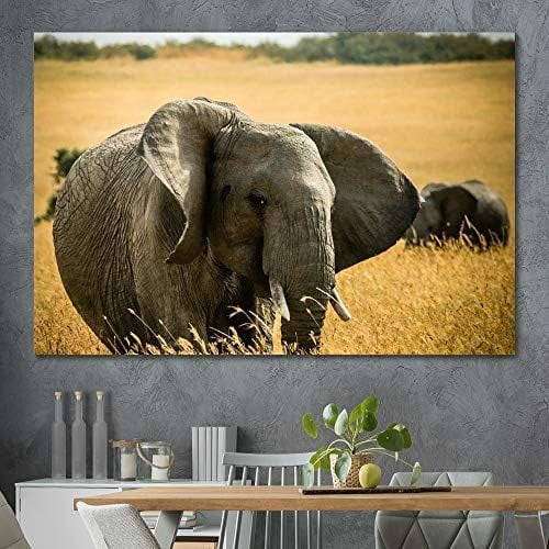 AEFER Wall Art for Bedroom, Canvas Prints Elephant in Nature X Animals Elephants Expressive ...