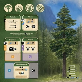 AEG Undergrove | Tile Placement and Pick-up and Deliver Board Game | Trade Nutrients with Fungi to Grow New Trees | 1-4 Players | Ages 10+ AEG Undergrove | Tile Placement and Pick-up and Deliver Board Game | Trade Nutrients with Fungi to Grow New Trees | 1-4 Players | Ages 10+