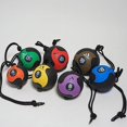 thumbnail image 1 of AEROMATS Power Rope Medicine Ball in Red, 1 of 5