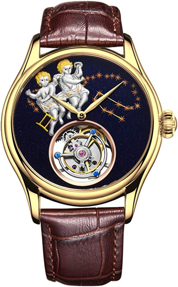 AESOP Men Genuine Mechanical Hand-Wind Skeleton Tourbillon Gemini 