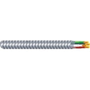 AFC Cable Systems 1402N22-AFC 25 ft. ACT Armored Cable System Electrical Wiring