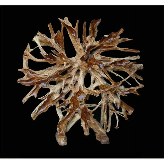 AFD Home 12005392 Teak Root Architectural Piece with Stand