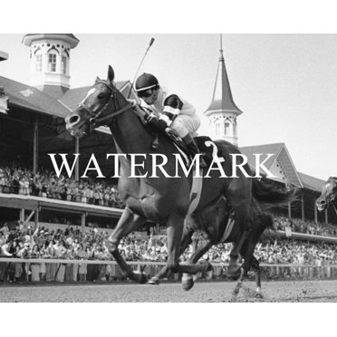 EIGHT BELLES Horse Racing 8x10 Collage Photo – 2008 Kentucky Derby Memorabilia