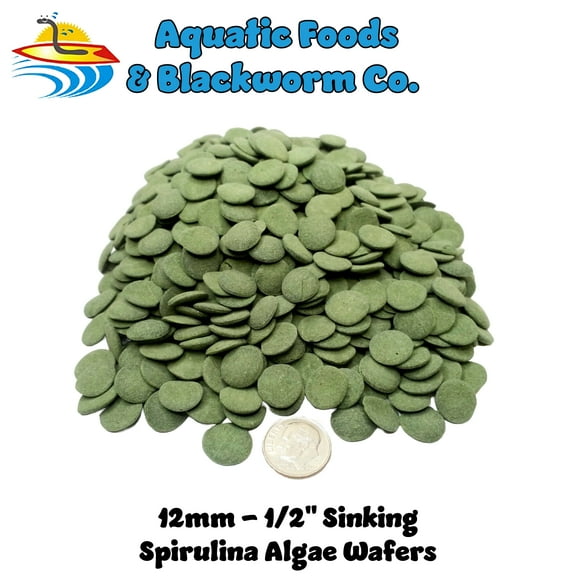 12mm AFI Sinking Small Wafers of Spirulina, Algae, Wafers for Plecos, Catfish & More…1/4-lb