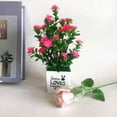 thumbnail image 1 of AFQH Artificial Flowers Plant in Pot Adds Natural Touch to Home Office Space, 1 of 6