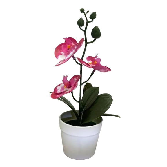 AFQH Simulation three-leaf Phalaenopsis bonsai 3D film fake flower potted plant